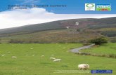 Sheep easier management booklet - Hybu Cig · PDF file4 Easier management systems for sheep Ewes need to be in condition score 2-2.5 at turnout (almost thin), ewes that are fatter