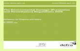 The Environmental Damage (Prevention and Remediation ... · PDF fileThe Environmental Damage (Prevention and Remediation) Regulations 2009 Guidance for England and Wales 2nd Update