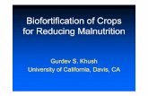Biofortification of Crops for Reducing Malnutrition S_ Khush.pdf · Biofortification of Crops for Reducing Malnutrition Gurdev S. Khush University of California, Davis, CA. Human
