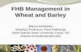 FHB Management in Wheat and Barley - University of … pdf/day-2... · FHB Management in Wheat and Barley. Marcia McMullen. Emeritus Professor, Plant Pathology. North Dakota State