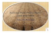 Business Plan: Prairie Farms Land and Cattle - UW we do/senior theses/2009_03_30_tanders… · • PFLC is a crop and cattle production operation, which ... • Prairie Farms Land