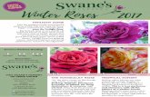 Winter Roses 2017 - Swane'sSONG 120cm FALSTAFF 200cm WOLLERTON OLD HALL 160cm ... Leather Pruning Gloves, and 1 Growing Roses in Subtropical Climates by Paul Hains, signed by …lists.swanes.com/swanes-nurseries-roses-2017... ·