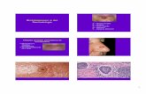 Blickdiagnosen in der Dermatologie - med.or.at · PDF file1 Blickdiagnosen in der Dermatologie A – Herpes simplex B – Erysipel C – Acne vulgaris D – Basaliom E – Malignes