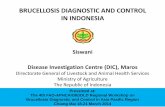 BRUCELLOSIS DIAGNOSTIC AND CONTROL IN · PDF fileBRUCELLOSIS DIAGNOSTIC AND CONTROL IN INDONESIA ... Lampung DIC Wates ... brucellosis diagnostic and control in Asia Pasific Region