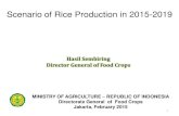 Scenario of Rice Production in 2015-2019en.litbang.pertanian.go.id/iaard-irri/files/hasil-sembiring-irri.pdf · Scenario of Rice Production in 2015-2019 ... MANAGEMENT APPLICATION