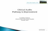 Clinical Audits: pathways to improvement · PDF fileClinical Audits . Pathway to Improvement . Dr Debbie Hawkins . Director MAU, Mona Vale Hospital . October 2014 . 1 . Dr Debbie Hawkins