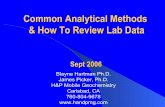Common Analytical Methods & How To Review Lab  · PDF fileCommon Analytical Methods & How To Review Lab Data ... Metals • Method 7000 (AA) ... Metals • Method 6020 (ICAP-MS)