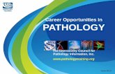 Career Opportunities in PATHOLOGY - UC Davis Health · PDF fileCareer Opportunities in PATHOLOGY The Intersociety Council for Pathology Information, Inc. ... • Cytopathology •