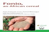 Fonio, as rice, wheat and corn.fonio.cirad.fr/en/content/download/2394/18096/file/Fonio an African... · as rice, wheat and corn. ... N’Famara Cissé, Gansilé Nieba, ... In Senegal,