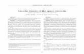 Vascular injuries of the upper extremity - · PDF file272 J Vasc Bras 2006, Vol. 5, Nº4 Vascular injuries of the upper extremity – Shalabi R et al. the majority of upper extremity
