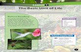 The Basic Unit of Life - PBworksttactechtuesday.pbworks.com/f/SampleTextbookChapterRev.pdf · living things around you. ... The Basic Unit of Life . What is it? All living things