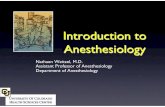Introduction to Anesthesiology - Denver, · PDF fileIntroduction to Anesthesiology! Nathaen Weitzel, M.D.! ... Balanced anesthesia uses a combination of agents, to limit the dose and