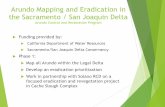 Arundo Mapping and Eradication in the Sacramento / San ... · PDF fileArundo Mapping and Eradication in the Sacramento / San Joaquin Delta Arundo Control and Restoration Program ...