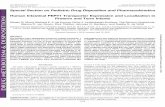Special Section on Pediatric Drug Disposition and ...dmd.aspetjournals.org/content/dmd/44/7/1014.full.pdf · 15 * * Male Caucasian Jejunum atresia 38.3 0.1 PN stenosis Jejunum 16