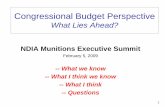 Congressional Budget Perspective · PDF fileCongressional Budget Perspective ... Charlie Houy & Stewart Holmes ... – Stimulus Bill relieves pent up demand for more domestic funding