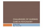 29 May 2009 Mgr. Tomas Petr - European Commissionec.europa.eu/health/archive/ph_determinants/life_style/mental/docs/... · Tomas Petr, (MSc, BSc, RN) ... Nurse training:-Midwifery
