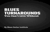 TURNAROUNDS BLUES - Blues Guitar Institute - Acoustic ... · PDF fileClassic Turnaround Turnarounds You Can't Live Without ... through Blues Guitar Institute. I truly hope that this