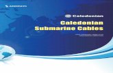 caledonian submarine cable - Caledonian Cables Ltd. cables.pdf · Caledonian Submarine Cables  Pair Screened & Insulated Partially Longitudinally Water Blocked Cable Application
