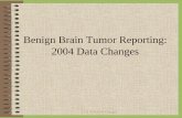 Benign Brain Tumor Reporting: 2004 Data Changes -  · PDF fileBenign Brain Tumor Reporting: 2004 Data Changes. ... Rathke Pouch Tumor ... Rathke cleft cyst. CCR 2004 Data Changes