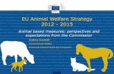 EU Animal Welfare Strategy 2012 - · PDF fileEU Animal Welfare Strategy 2012 - 2015 Animal based measures: perspectives and expectations from the Commission Andrea Gavinelli Unit G3