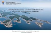 Collaboration across the Gulf of Bothnia for improved ...ec.europa.eu/environment/nature/natura2000/platform/documents/... · Collaboration across the Gulf of Bothnia for improved