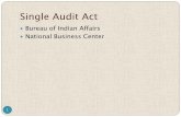 Single Audit Act - United States Department of the Interior · PDF fileSingle Audit Act and other Criterion 3 Single Audit Act of 1984 amended by Single Audit Amendments of 1996 (P.L.104-156
