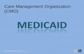 Care Management Organization (CMO) - Nevada Medicaid · PDF file1 2013 Annual Medicaid Conference Care Management Organization (CMO) ©2013 Hewlett-Packard Development Company, L.P.