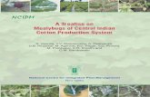 A Treatise on Mealybugs of - Integrated pest management Mealybug Bulletin.pdf · A Treatise on Mealybugs of ... Indian Agricultural Research Institute, New Delhi 3 : ... and management