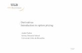 Derivatives Introduction to option pricing - Homepage de l ... 2011 06 Pricing... · Derivatives Introduction to option pricing ... CAPM discount risk ... DerivaGem 2.01: option pricing
