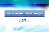 Thailand Futures ExchangeThailand Futures TRADING Registered Market Maker for options and futures products are appointed to provide liquidity and ensure the confidence of investors
