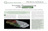 Image Processing with ImageJ - · PDF fileImage Processing with ImageJ it not only is in the public domain (mean- ... AVI uncompressed movies Bio-Rad Z-series (plug-in) BMP DICOM (uncompressed)
