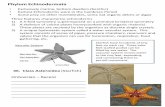 Phylum Echinodermata - Fred Haynesfredmhaynes.com/wp-content/uploads/2015/11/6.-Echinodermata.pdf · Phylum Echinodermata ... Three features characterize echinoderms 1) ... valves