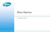 Pfizer Pipeline · PDF filePfizer Pipeline Snapshot 4 Pipeline represents progress of R&D programs as of January 31, 2017 Included are 62 NMEs, 26 additional indications, plus 8 biosimilars