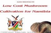 Low Cost Mushroom Cultivation for  · PDF file3rd ASEMM Conference – Windhoek, Namibia – June 24-28, 2012 Low Cost Mushroom Cultivation for Namibia