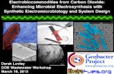 Electrobiocommodities from Carbon Dioxide: Enhancing ...energy.gov/sites/prod/files/2015/04/f21/fcto_beto_2015_wastewaters... · Enhancing Microbial Electrosynthesis with Synthetic