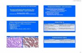 HCC: immunohistochemistry - CSCP Homecscpweb.org/uploads/3/0/7/8/3078275/kakar_session_1_revised.pdf · HCC immunohistochemistry Hepatocellular differentiation Strengths