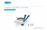 Data Loader Guide - · PDF fileData Loader Guide Version 41.0, ... • Microsoft® Windows ® 7, Windows 8, ... Note: Salesforce no longer bundles Java with the Data Loader for Windows