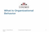 What Is Organizational Behavior -  · PDF fileWhat Is Organizational Behavior. ... Enter Organizational BehaviorEnter Organizational Behavior ... – Increased foreign assignments