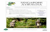 SINAV Vol 22 No 7 Jul 08 final1 - Nature Society · PDF fileJuly is generally considered a quiet month in Singapore’s avian calendar, ... Rufous-collared Kingfisher at Bunker ...