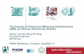 The Impact of Advanced Metering Infrastructure (AMI) on ... · PDF fileThe Impact of Advanced Metering Infrastructure (AMI) on African Electricity Utilities Kobus van den ... 2008)