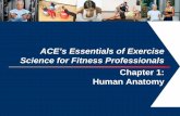 ACE’s Essentials of Exercise Science for Fitness Professionals …efs.efslibrary.net/CertificatePrograms/PFT/Course 1-Intro 1... · ACE’s Essentials of Exercise Science for Fitness