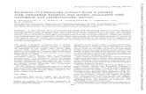 Isolation Chlamydia psittaci patient associatedbjo.bmj.com/content/bjophthalmol/62/10/709.full.pdf · British JournalofOphthalmology, 1978, 62, 709-714 Isolation ofChlamydiapsittaci