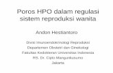 Poros HPO dalam regulasi sistem reproduksi wanita · PDF file• Tumor hipofisis atau tumor tangkai hipofisis • Trauma kepala ... – Amenore – Oligomenore – Infertilitas •