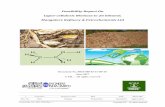 Feasibility Report On Ligno-cellulosic Biomass to 2G …environmentclearance.nic.in/writereaddata/Online/TOR/06_Jul_2017... · Feasibility Report on Ligno-Cellulosic Biomass to 2G