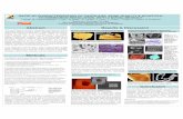 RAPID 3D CHARACTERIZATION OF CARTILAGE, BONE QUALITY ... · PDF fileRAPID 3D CHARACTERIZATION OF CARTILAGE, BONE QUALITY & SCAFFOLD TO SUBMICRON RESOLUTION, WITH A NOVEL MICROCT S