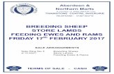 BREEDING SHEEP STORE LAMBS FEEDING EWES … TLC Sheep 17.2.17.pdf · BREEDING SHEEP STORE LAMBS FEEDING EWES AND RAMS FRIDAY 17th FEBRUARY 2017 TERMS OF SALE -CASH ... Yell Shdr Q