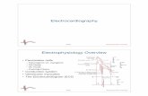 Electrocardiography - Scientific Computing and …sci.utah.edu/~macleod/bioen/be6000/notes/L06-ECG.pdfECG Bioengineering 6000 CV Physiology Electrocardiography ECG Bioengineering 6000