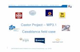 Castor Project – WP3.1 Casablanca field  · PDF file©CASTOR-ENCAP-CACHET-DYNAMIS Common Technical Training Workshop – Lyon - 22/1/08 I F P ˘ ˇˆ Castor Project – WP3.1