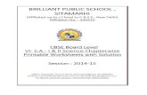 BRILLIANT PUBLIC SCHOOL , SITAMARHIbrilliantpublicschool.com/files/documents/Doc-601B-B.P.S.-VI-S.A... · BRILLIANT PUBLIC SCHOOL , SITAMARHI ... Wheat pulses and rice. b. Rice and