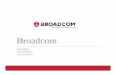 AVGO Broadcom FinalRevisions - Washburn · PDF fileend market, analog semiconductors are particularly exposed to this trend. Products ... Broadcom rights to design and ... the global